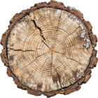 Oak Timber Logs