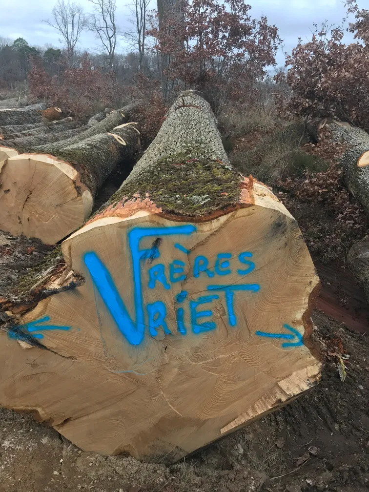 Bois de chêne — Vriet Frères