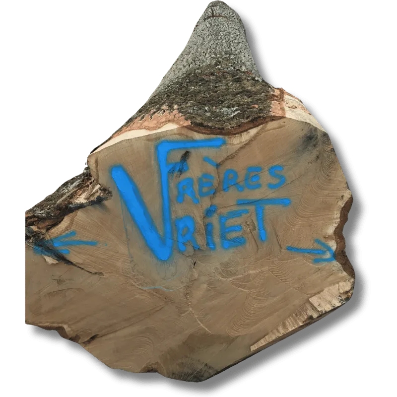 Coupe vriet freres